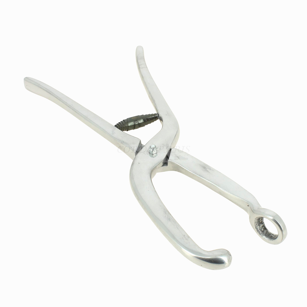 PINCE CORDONNIER A CORS / OIGNONS