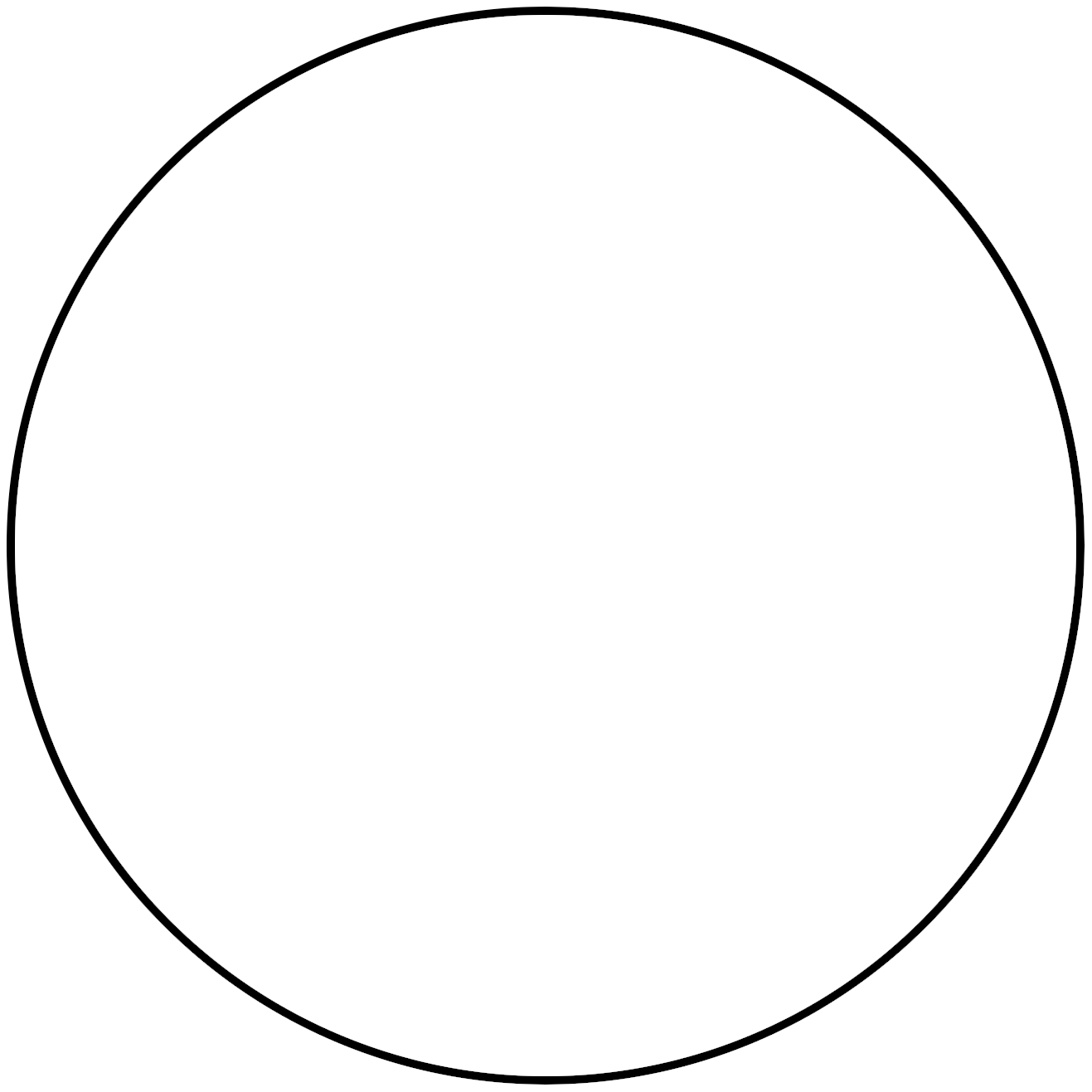 LACET CUIR ROND BLANC